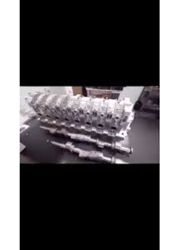 Text